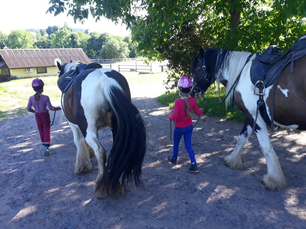 Изображение WhatsApp 2023-12-20 в 14.37.03_35cd0eea.jpg