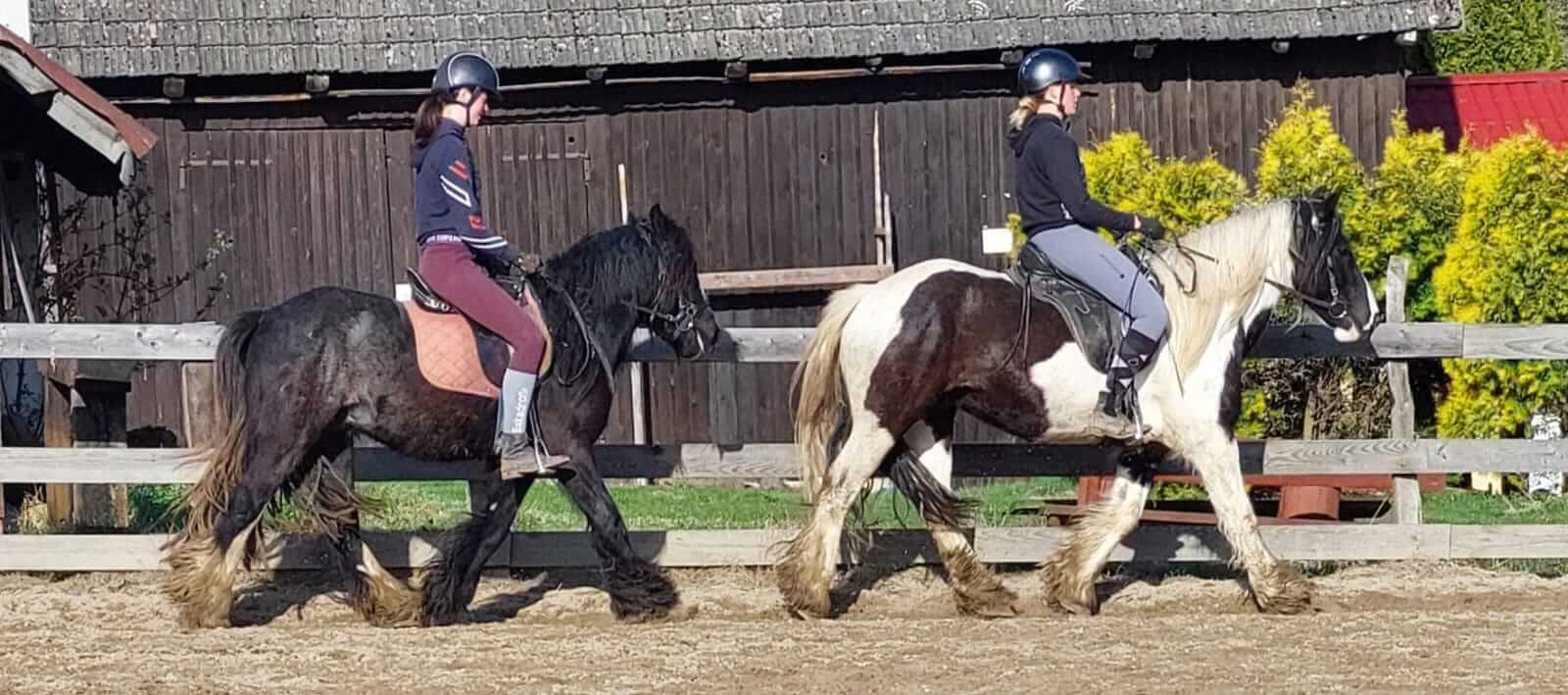 Изображение WhatsApp 2023-12-20 в 14.37.32_8f88bbf7.jpg