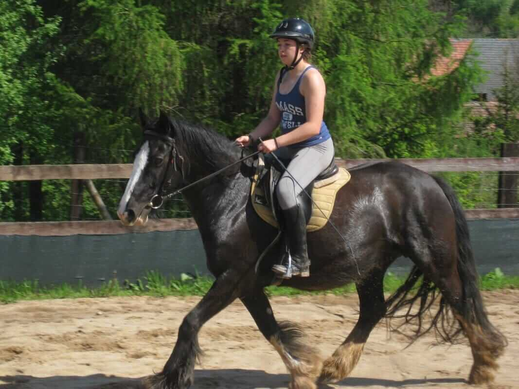 Изображение WhatsApp 2023-12-20 в 14.37.58_93be7ebc.jpg