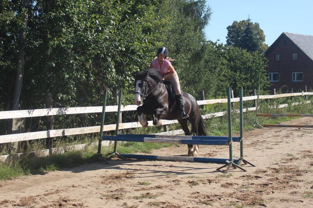 Изображение WhatsApp 2023-12-20 в 14.38.09_6364c10c.jpg